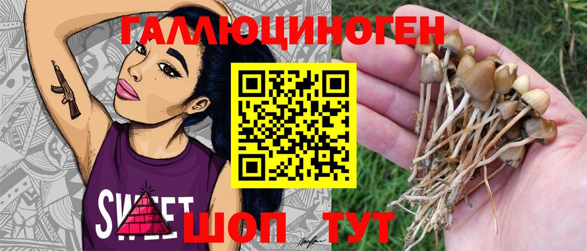 Лысьва  Псилоцибиновые грибы Psilocybine cubensis  Вход с VPN 